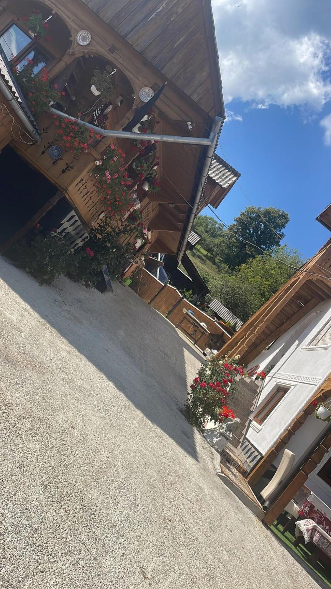 Casa Ionela Petreus Ξενοδοχείο Poienile Izei Εξωτερικό φωτογραφία